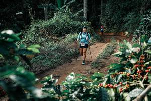 BIB: 
                            <button type="button" onclick="openModal(25857379)" class="btn btn-primary btn-sm float-right btn-popup" data-toggle="modal" data-target=".modal-high-quality">
                        <i class="fas fa-shopping-cart"></i> Add to Cart
                    </button>
                                            <button type="button" onclick="isThisMe(25857379, true)" class="btn btn-success btn-sm float-right btn-popup btn-isme hidden" data-toggle="tooltip" data-placement="bottom" title="นี่คือรูปของคุณใช่ไหม คลิกที่นี่เพื่อเอาเข้าอัลบั้ม">
                        <i class="fas fa-plus"></i> Add to album
                    </button>
                    <button type="button" onclick="isThisMe(25857379, false)" class="btn btn-warning btn-sm float-right btn-popup btn-isnotme hidden">
                        <i class="fas fa-ban"></i> Remove from album
                    </button>